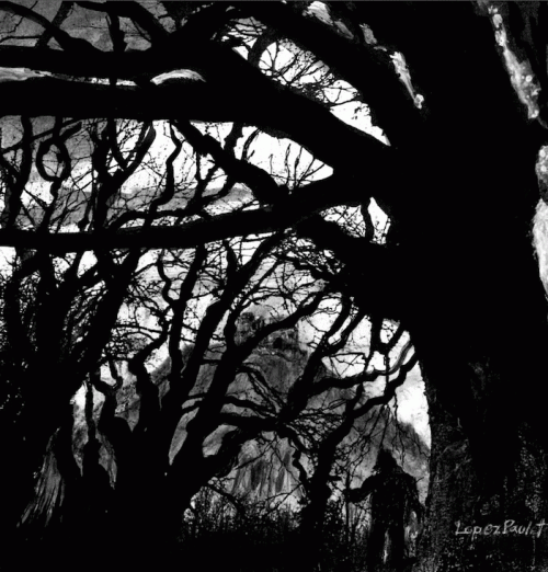 Crown Of Worms : Shadows of Past Wars 2002-2008